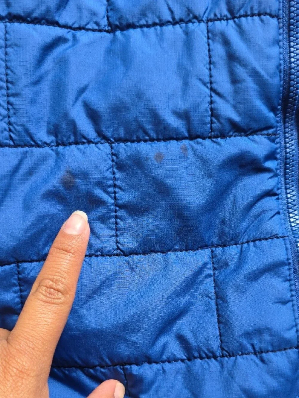Patagonia Bright Blue Quilted Jacket